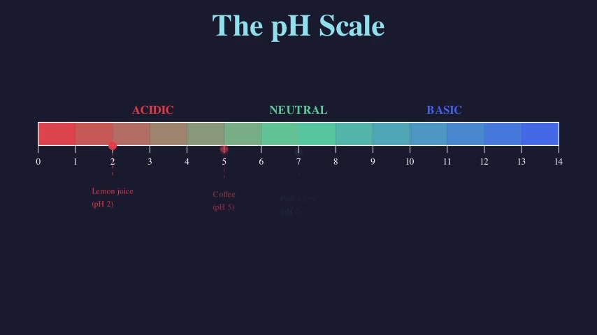 The pH Scale