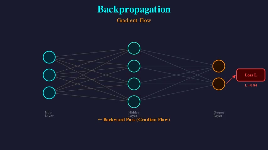 Backpropagation — Gradient Flow