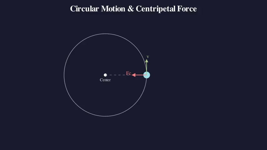 Circular Motion & Centripetal Force