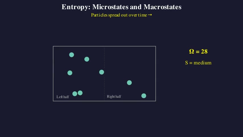 Entropy: Microstates and Macrostates