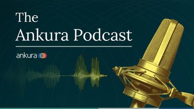 High Stakes Investigations: Dealing With The Authorities