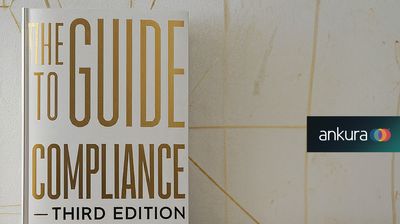 The Significance of Audit and Monitoring in a Compliance Programme