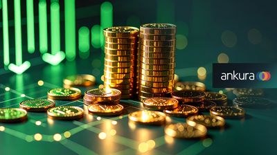 Navigating Fraud in Insolvent Companies: Lessons for the UK