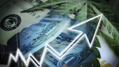 The State of the Market for Cannabis