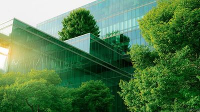 ISSB Issues Global Sustainability Disclosure Standards – What Companies Need to Know