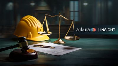 Overview: Complementary Frameworks for Forensic Delay Analysis in International Arbitration