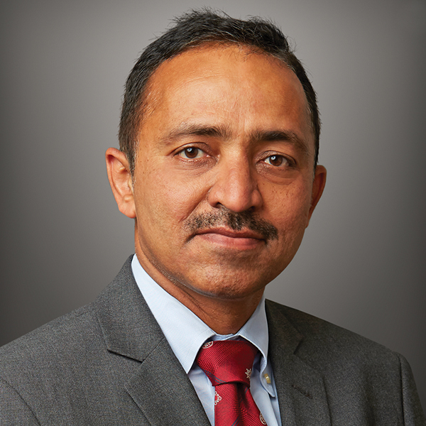 Photograph of Anand Goel