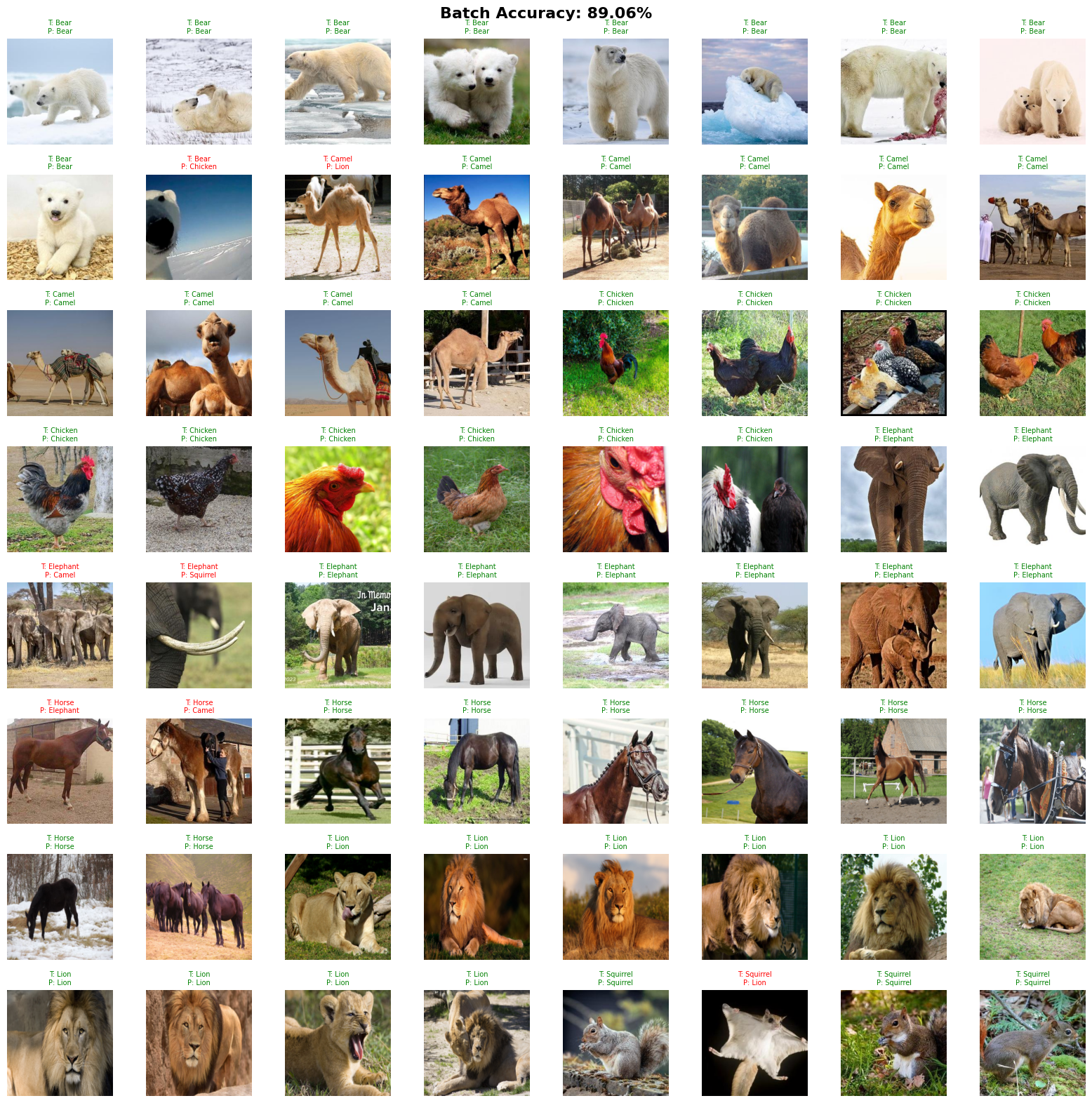 Animal Classification Predictions