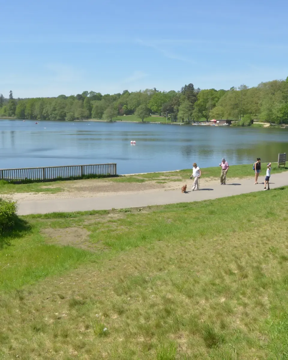 Register a company in Crawley