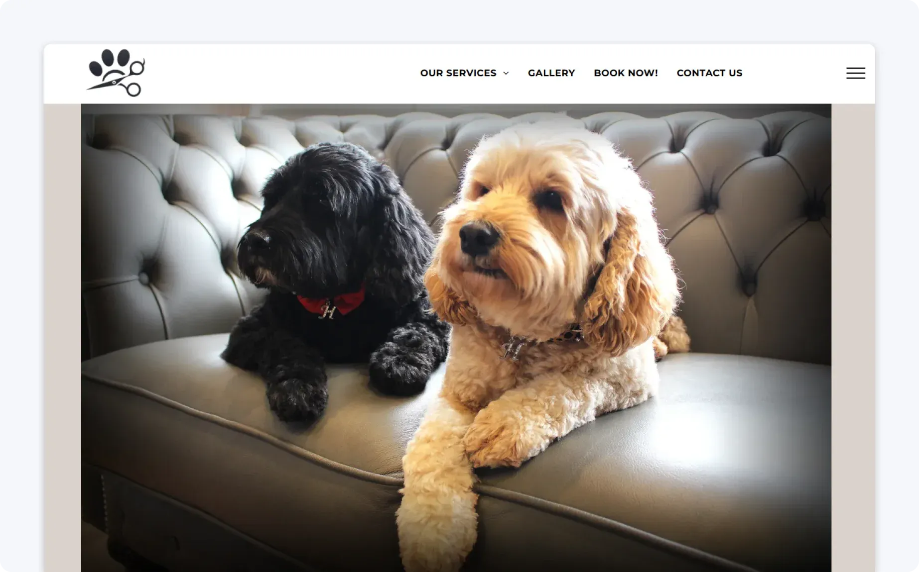 perfect-pooch-example
