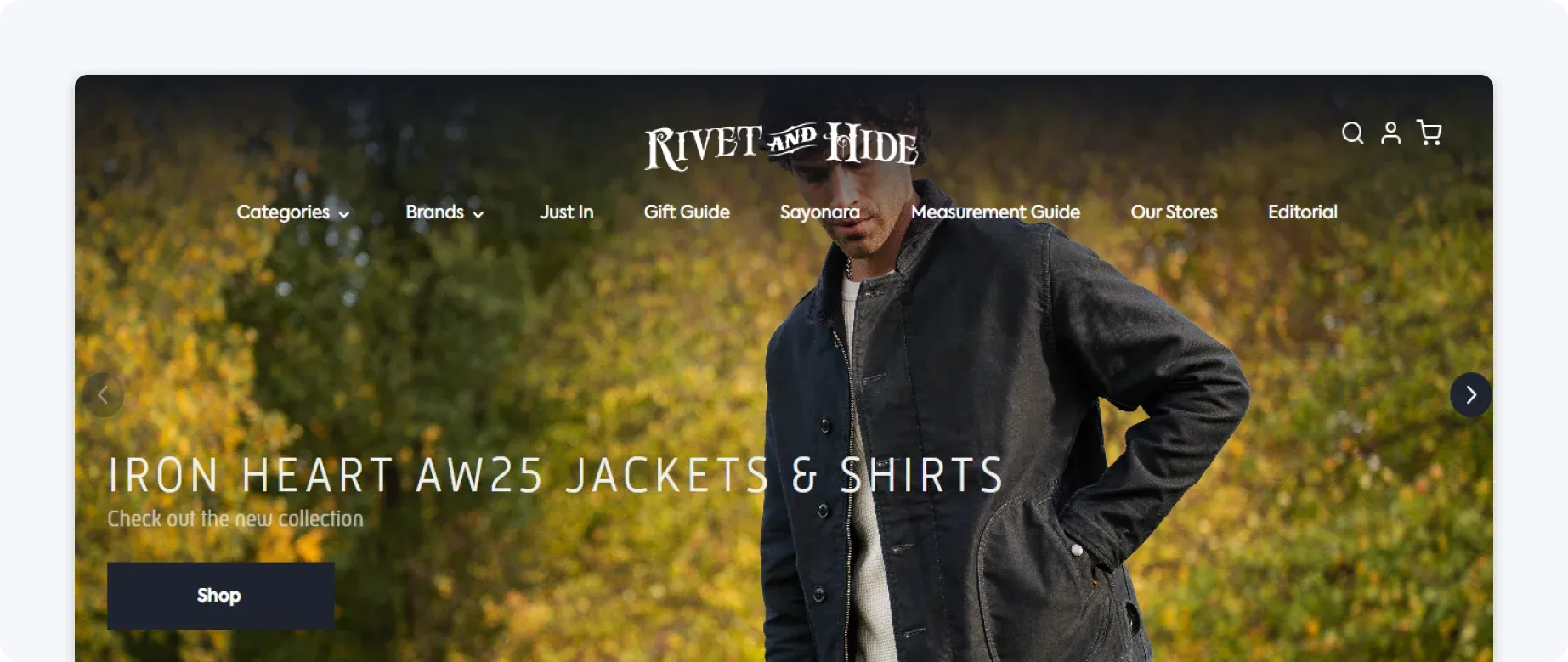 rivet-and-hide-example