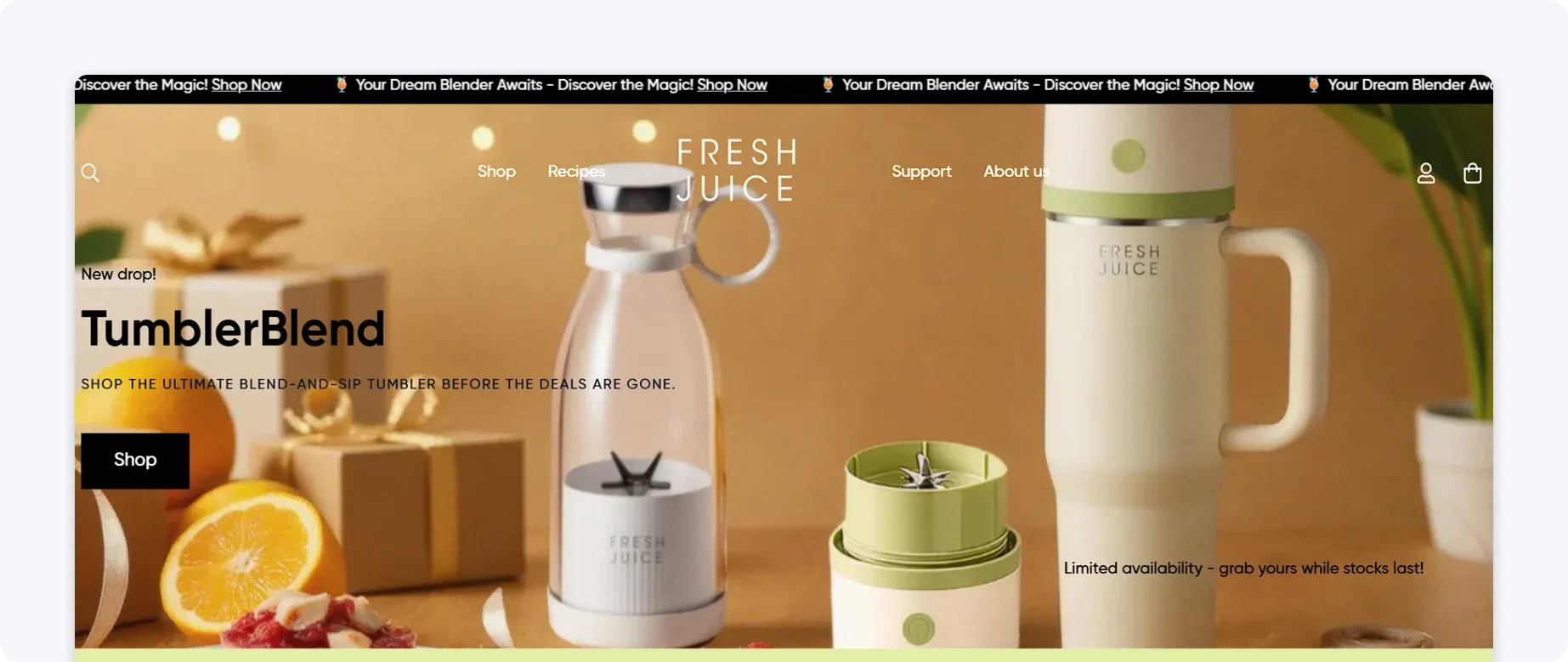 fresh-juice-blender-example