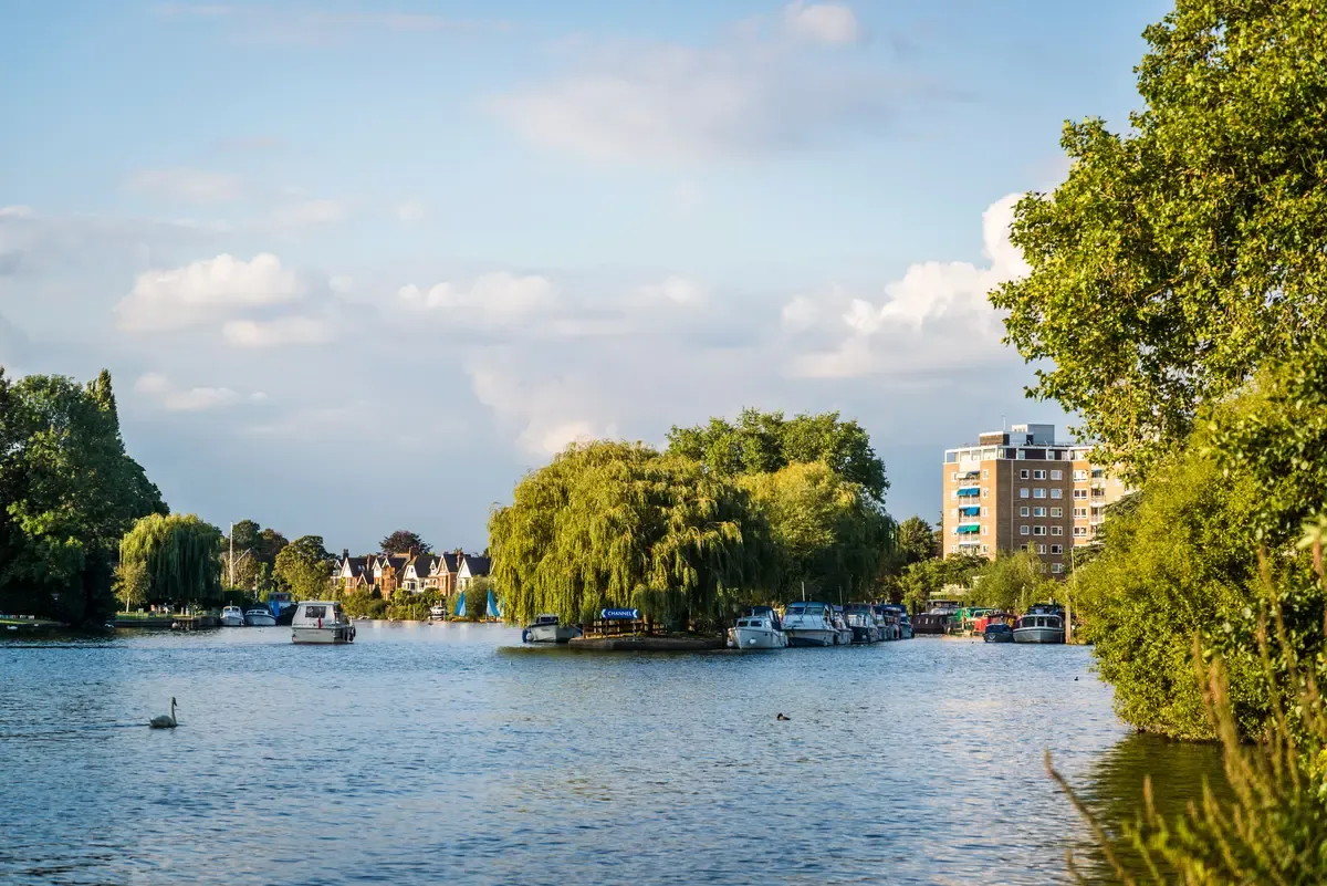 Register a company in Kingston upon Thames