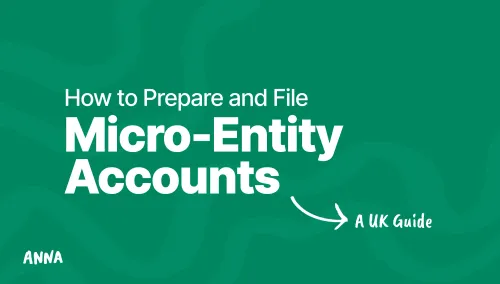 How to Prepare and File Micro-Entity Accounts: A UK Guide