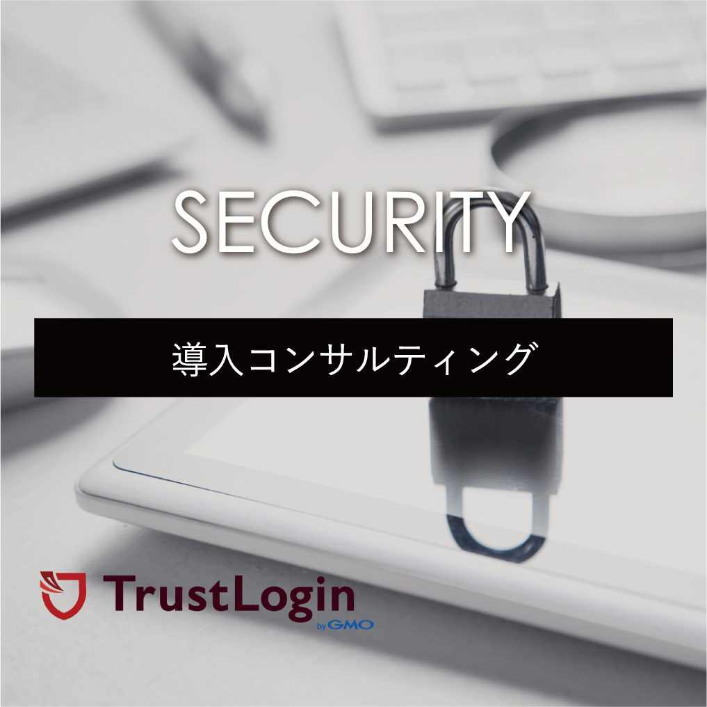 Consulting Security