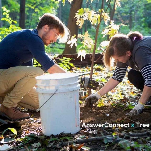 Reforesting The Country With Tree Canada: AnswerConnect’s October Tree-Planting Partner