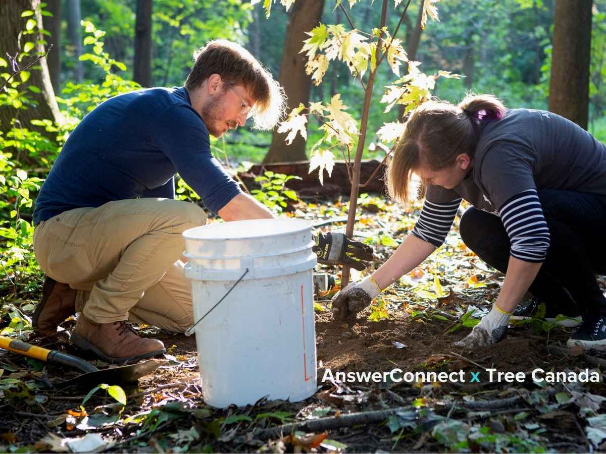 Two people planting trees