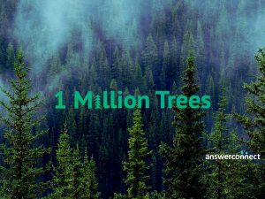 The word 1 million trees superimposed on image of a forest