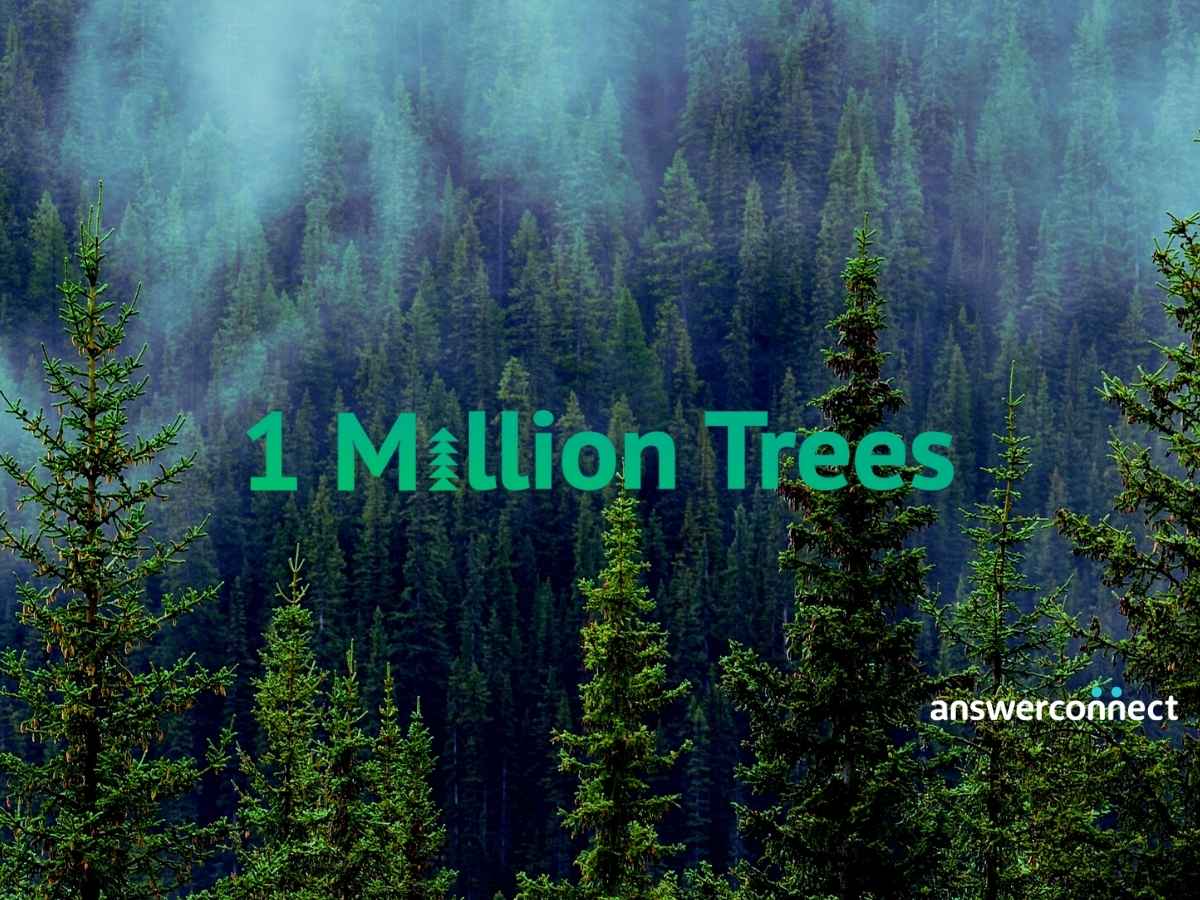 The word 1 million trees superimposed on image of a forest