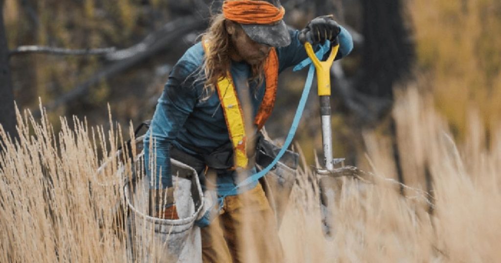 Man planting trees in the soil