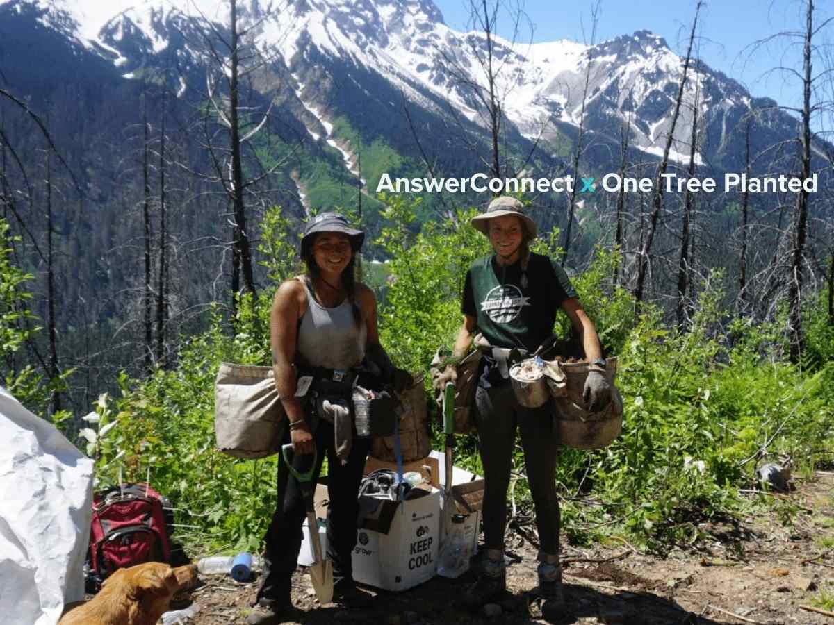 two people planting trees on mountain for flood damage restoration project