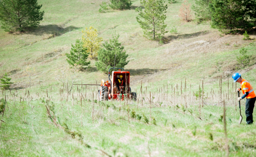 man digging holes to plant trees and tractor plowing land