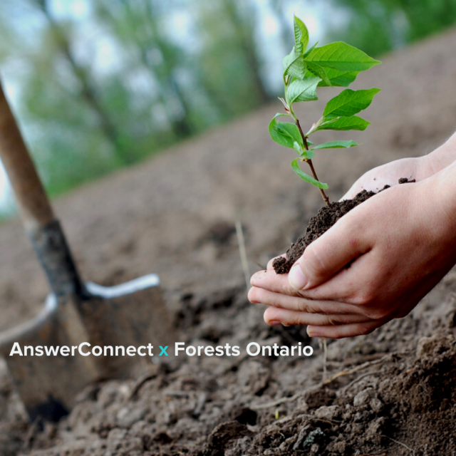 Relationship building from seeds to forests: AnswerConnect’s February Tree-Planting Partner Forests Ontario