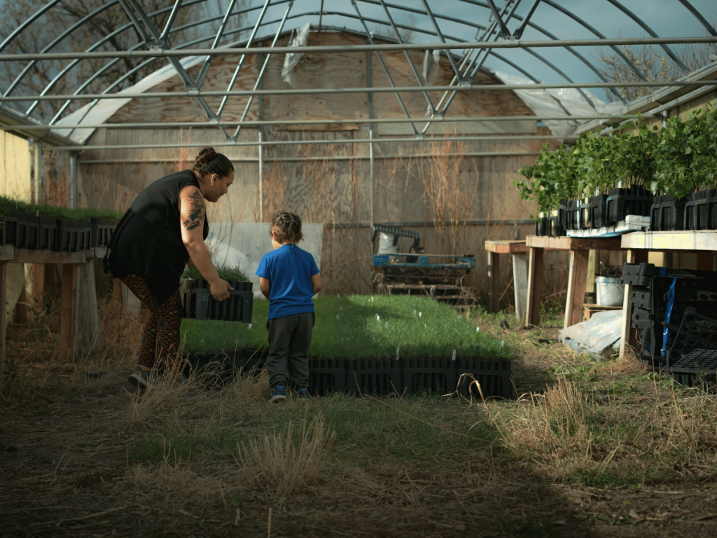 kid being trained on how to plant trees