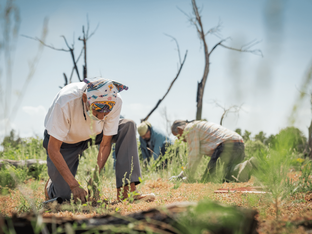 resilient community of people planting trees