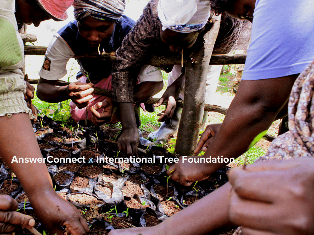 hands digging in ground to plant trees