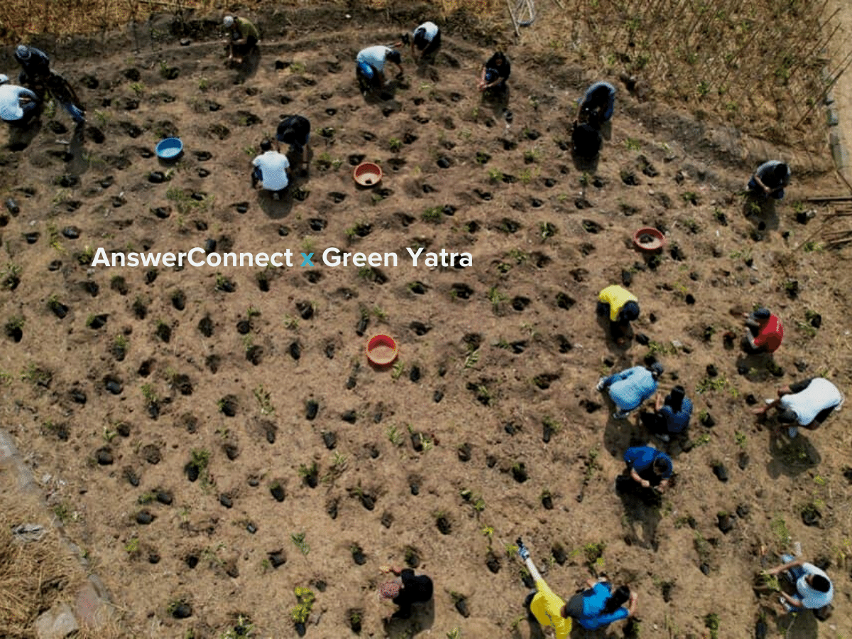 People planting trees in India