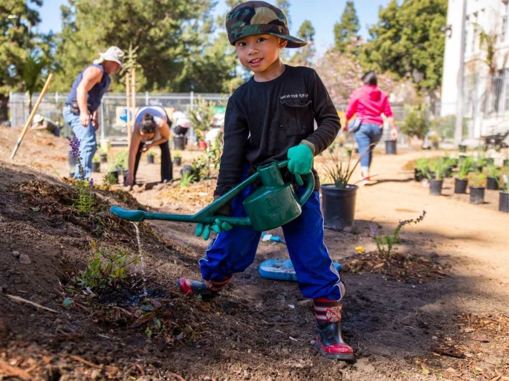 Child watering planted tree