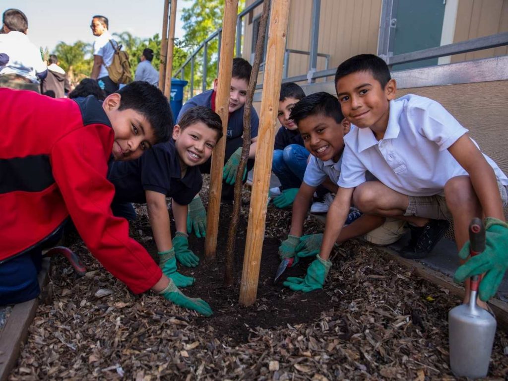 Children planting trees together on school campus