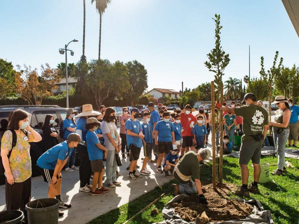 Large group of volunteers working together to plant trees on school campus