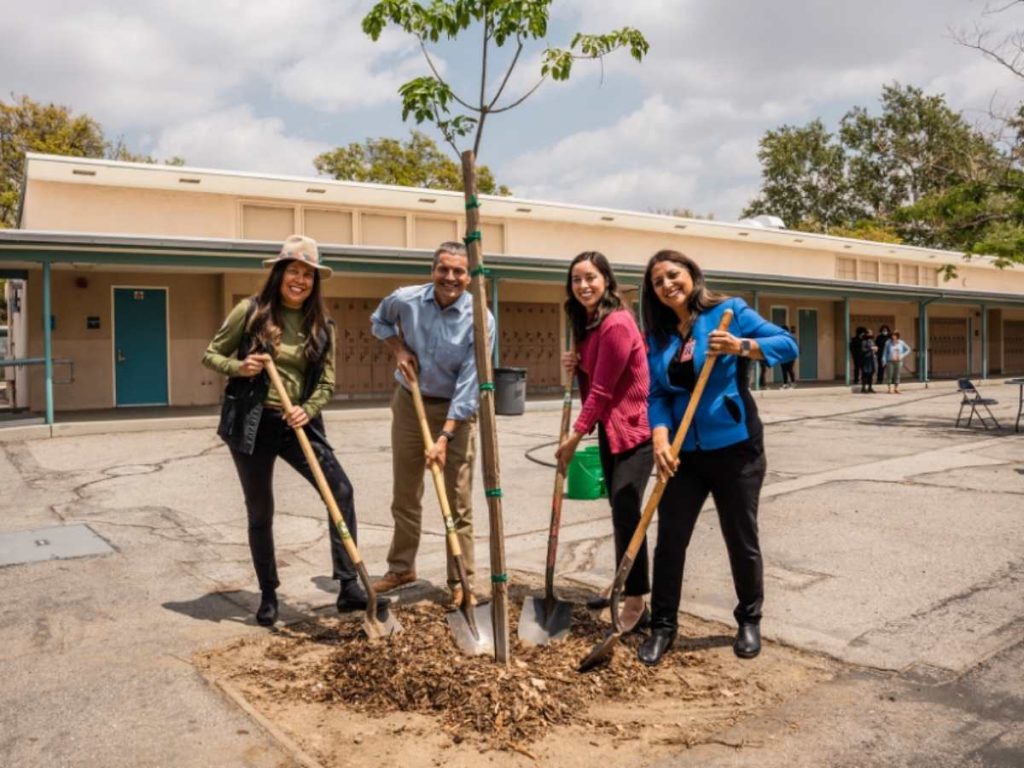 teachers and parent volunteers working together to plant trees at school