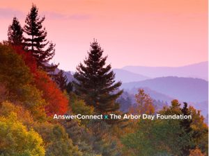 Arbor Day Foundation cover image Tree Planting partner forest at sunset