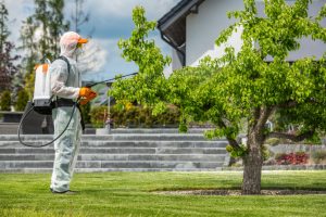 man working in pest control wearing a protective suit and spraying tree outside