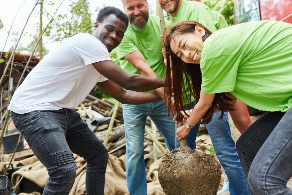 Team planting trees in employee volunteer program