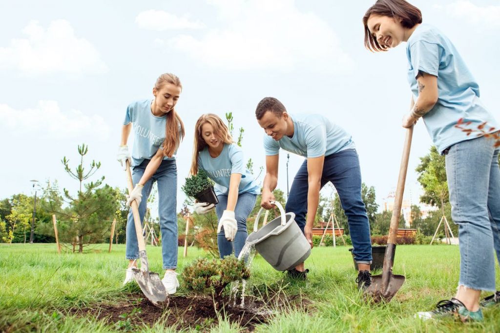 Team planting trees in corporate 'giving back' initiative