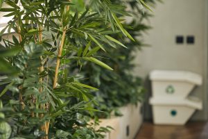 Office using recycling boxes as part of green business practices policy