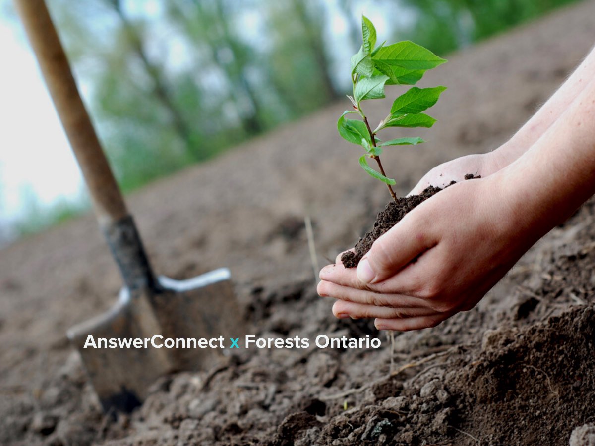 Hands planting tree sapling in forest with AnswerConnect & Forests Ontario text overlaid