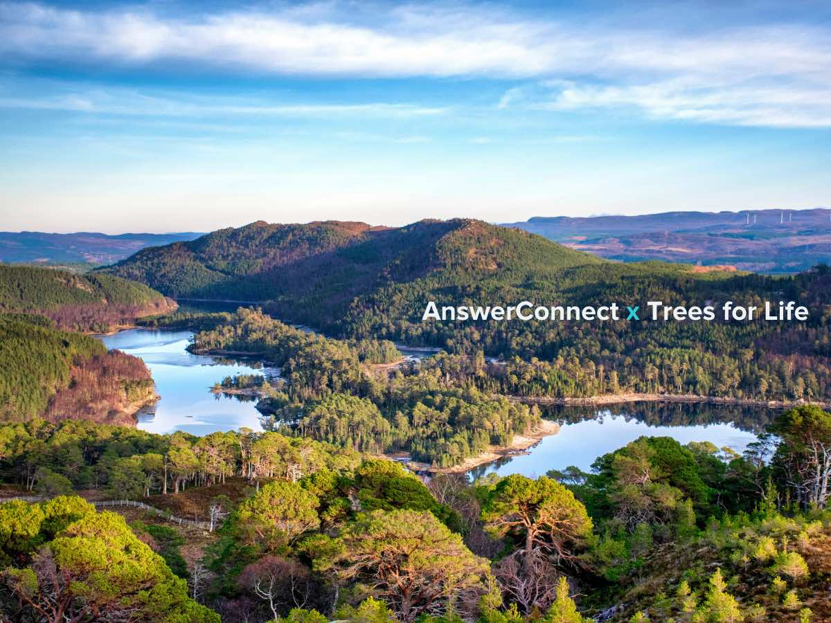 Scottish Highlands aerial shot Trees for Life