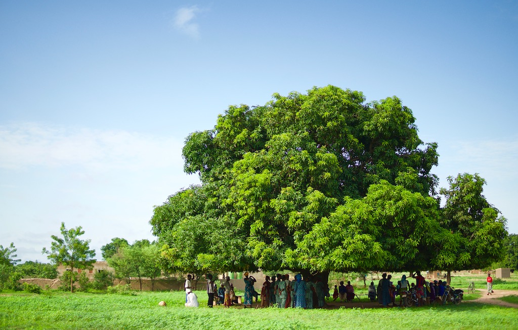 Women sheltering under large tree in rural Africa