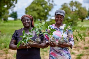 Women working with Tree Aid to combat desertification