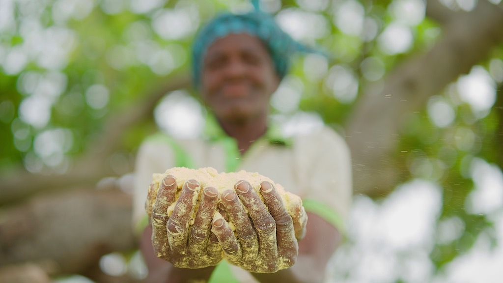 Woman out of focus holding pounded dawadawa seeds in hand