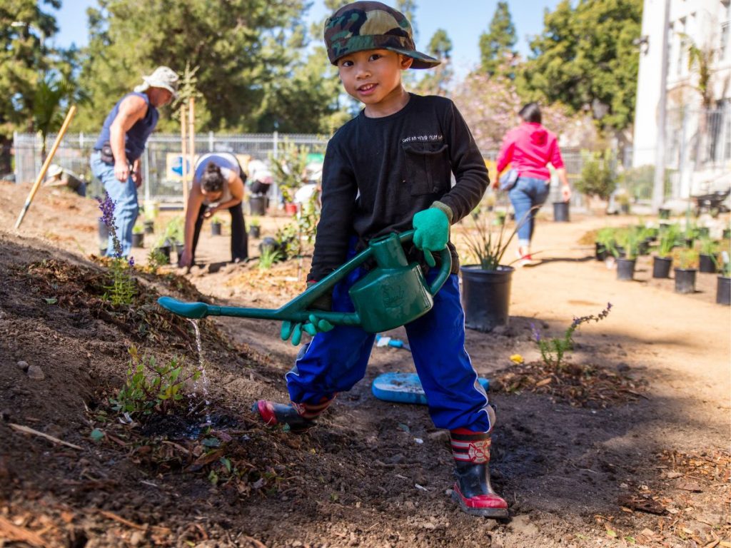 Young boy watering tree saplings through TreePeople project