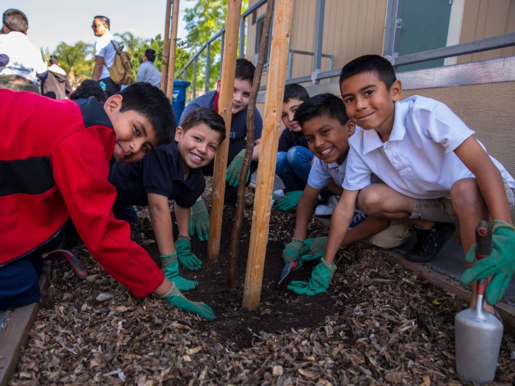 Group of schoolchildren planting trees together