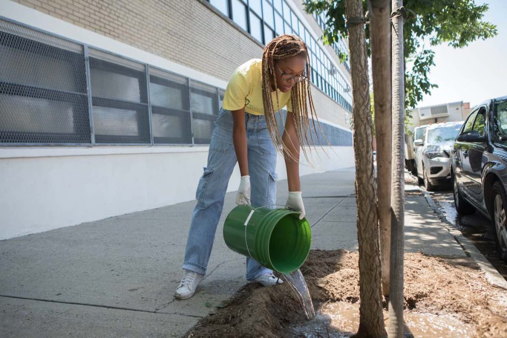 Volunteer watering a tree in New York City