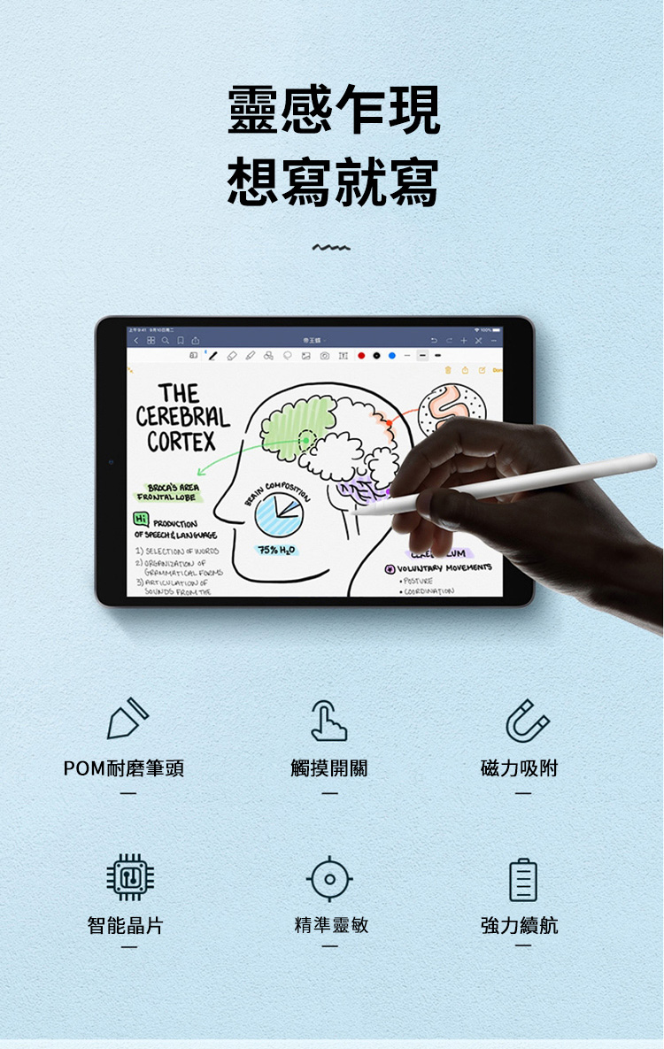 靈感乍現想寫就寫田 CEREBRALCORTEX AREAFRONTAL LOBE PRODUCTION SPEECH LANGUAGE1 SELECTION  WORDS)  GRAMMATICAL FORMS3) ARTICULATION OFSOUNDS FROM THECOMPOSITION75% POM耐磨筆頭觸摸開關VOLUNTARY MOVEMENTS COORDINATION磁力吸附智能晶片精準靈敏強力續航