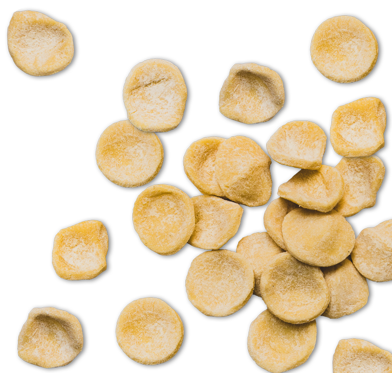 orecchiette
